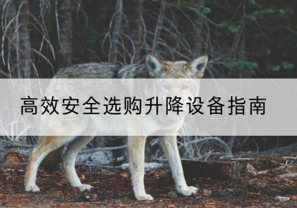 高青升降货梯厂家推荐-*安全选购升降设备指南