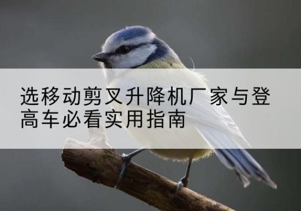 高青电动升降机厂家-选移动剪叉升降机厂家与登高车必看实用指南